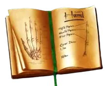 Buch Symbol